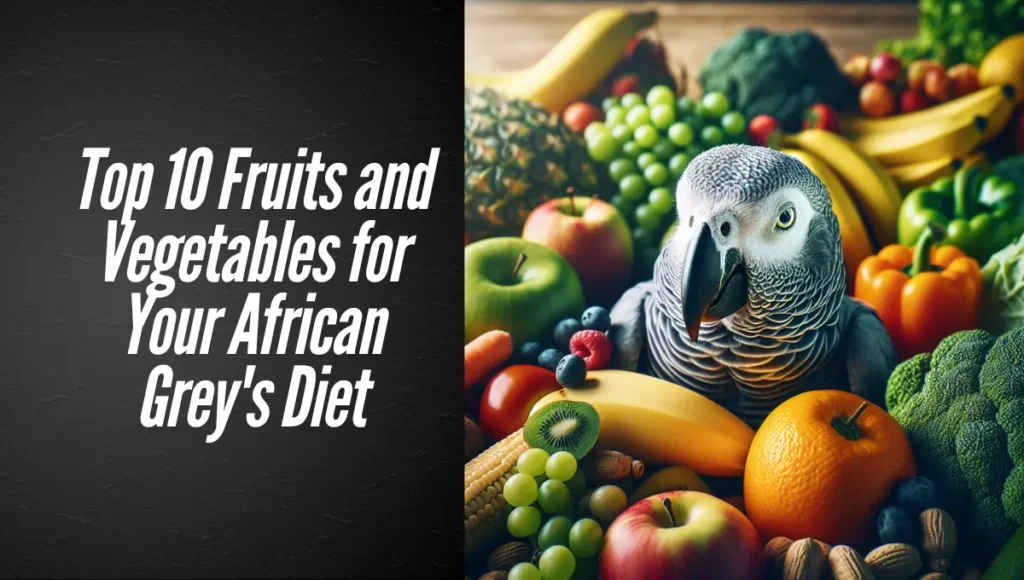 Top 10 Fruits and Vegetables for Your African Grey's Diet